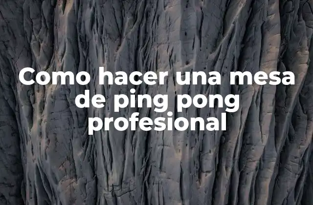 Como Hacer una Mesa de Ping Pong Profesional 2 Mesa de ping pong profesional