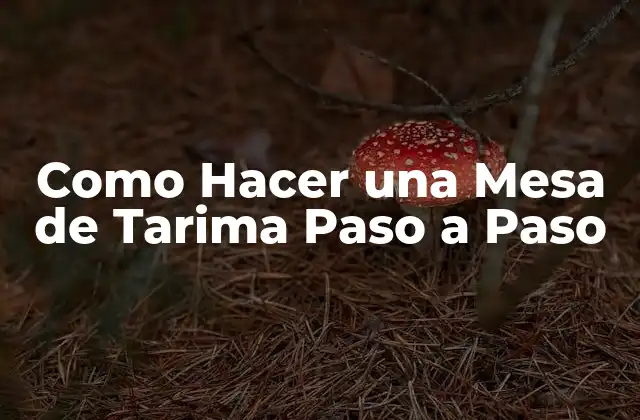 Como Hacer una Mesa de Tarima Paso a Paso