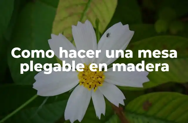 Como Hacer una Mesa Plegable en Madera 2 Mesa plegable en madera: una opción práctica y versátil para cualquier espacio