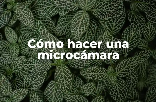 Cómo Hacer una Microcámara