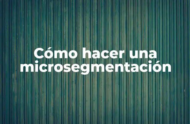 Cómo Hacer una Microsegmentación