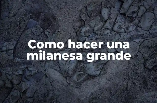 Como Hacer una Milanesa Grande