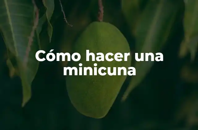 ¿Qué es una minicuna?