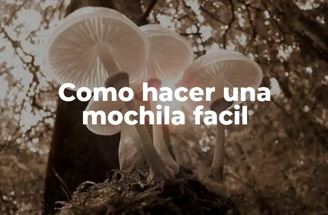 Como Hacer una Mochila Facil 2 ¿Qué es una mochila facil?