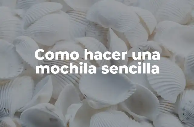 Como Hacer una Mochila Sencilla