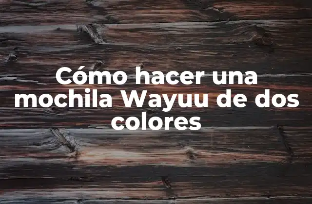 Cómo Hacer una Mochila Wayuu de Dos Colores