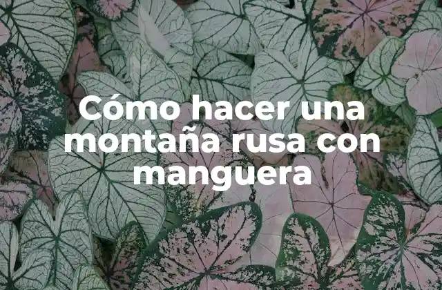 Cómo Hacer una Montaña Rusa con Manguera