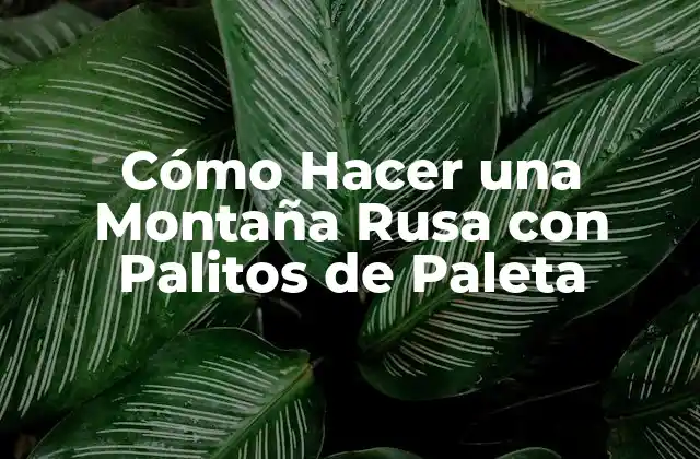 Cómo Hacer una Montaña Rusa con Palitos de Paleta
