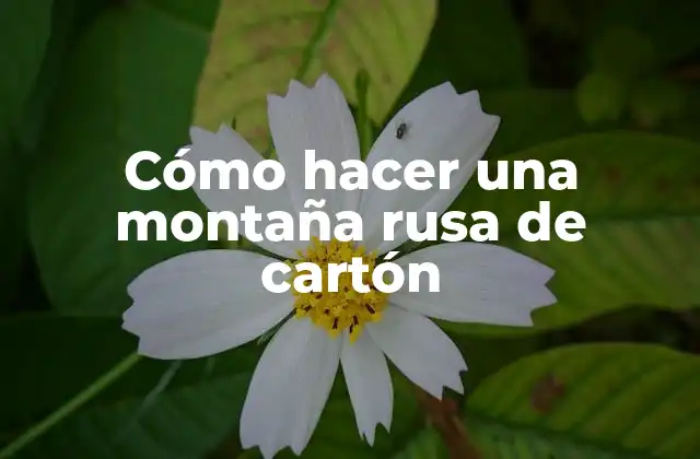 Cómo Hacer una Montaña Rusa de Cartón