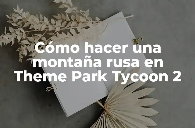 Cómo Hacer una Montaña Rusa en Theme Park Tycoon 2