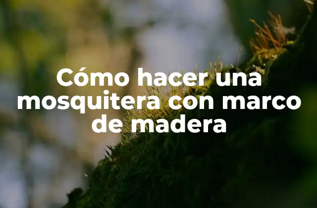 Cómo Hacer una Mosquitera con Marco de Madera