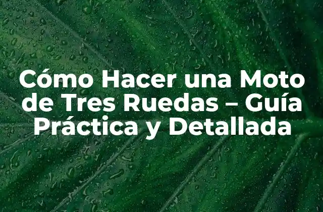 Cómo Hacer una Moto de Tres Ruedas – Guía Práctica y Detallada