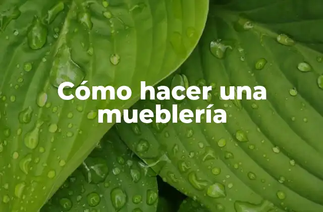 Cómo Hacer una Mueblería