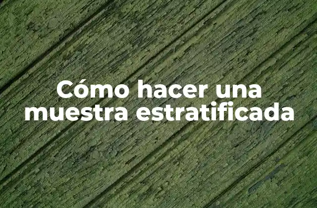 Cómo Hacer una Muestra Estratificada