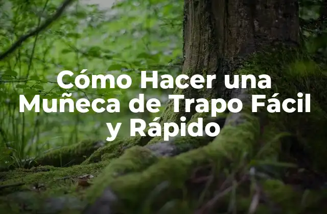 Cómo Hacer una Muñeca de Trapo Fácil y Rápido