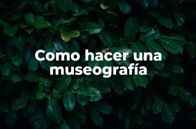 Como Hacer una Museografía