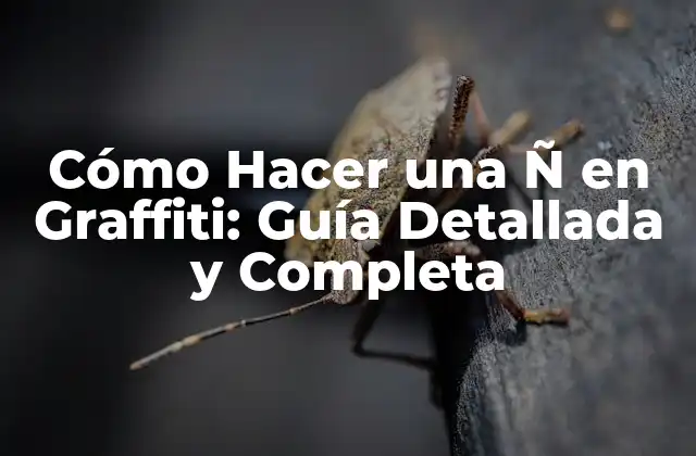 Cómo Hacer una Ñ en Graffiti: Guía Detallada y Completa