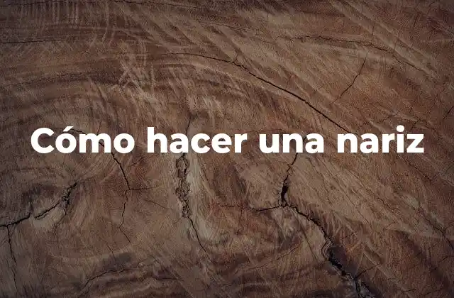 Cómo Hacer una Nariz 16 ¿Qué es una nariz en modelado 3D?