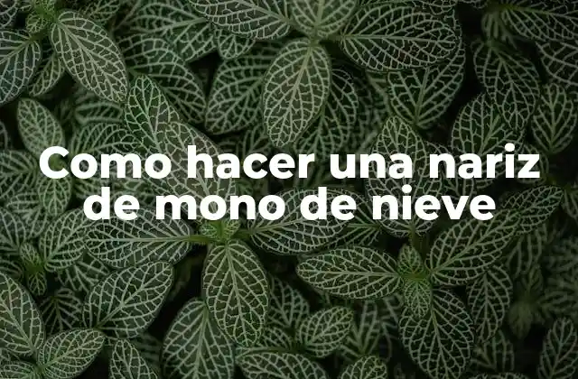 Como Hacer una Nariz de Mono de Nieve