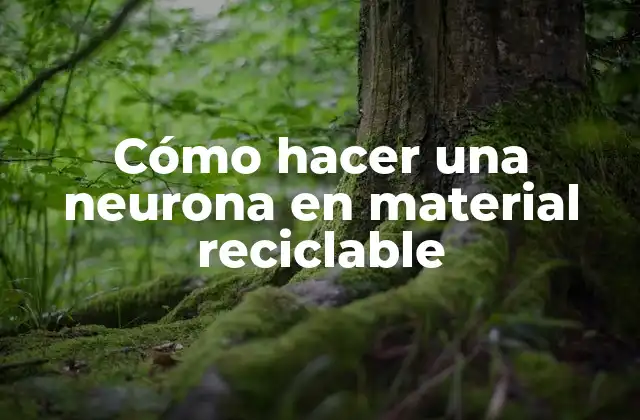 Cómo Hacer una Neurona en Material Reciclable