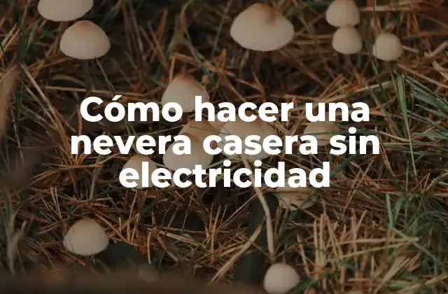 Cómo Hacer una Nevera Casera sin Electricidad