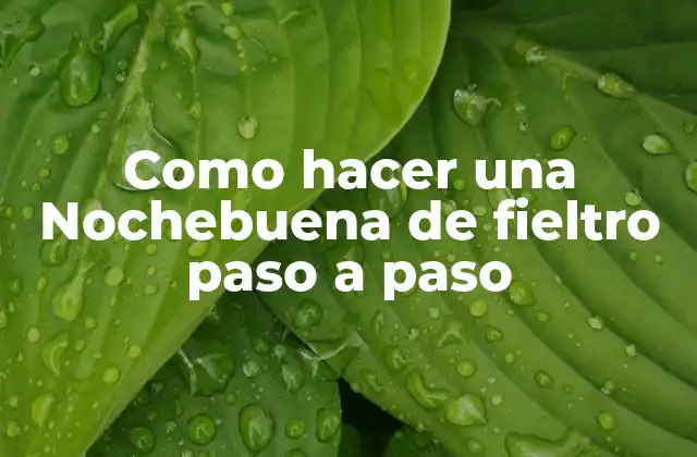 Como Hacer una Nochebuena de Fieltro Paso a Paso