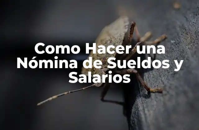 Como Hacer una Nómina de Sueldos y Salarios