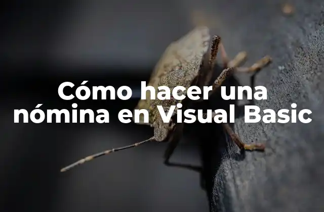 Cómo Hacer una Nómina en Visual Basic