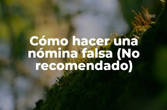 Cómo Hacer una Nómina Falsa (no Recomendado)