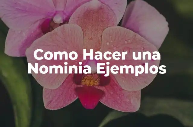 Como Hacer una Nominia Ejemplos