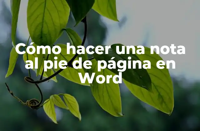 Cómo Hacer una Nota Al Pie de Página en Word