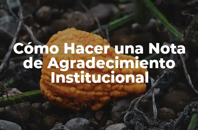 Cómo Hacer una Nota de Agradecimiento Institucional