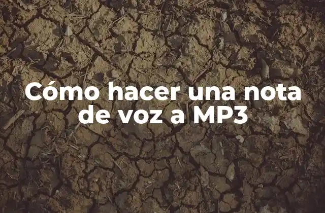Cómo Hacer una Nota de Voz a Mp3