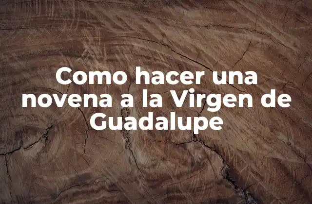 Como Hacer una Novena a la Virgen de Guadalupe