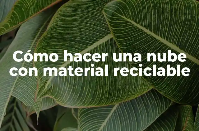 Cómo Hacer una Nube con Material Reciclable