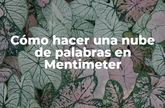 Cómo Hacer una Nube de Palabras en Mentimeter