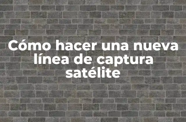 Cómo Hacer una Nueva Línea de Captura Satélite