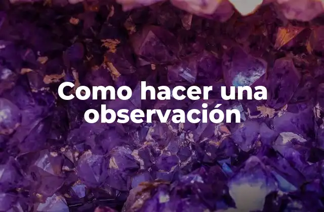 Como Hacer una Observación