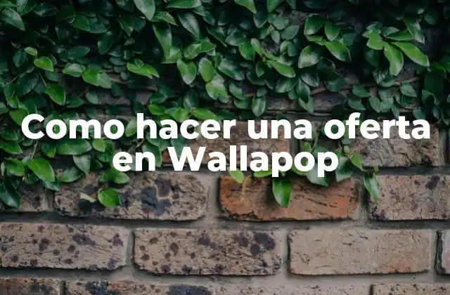Como Hacer una Oferta en Wallapop