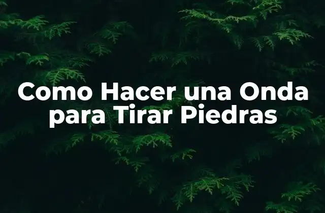 Como Hacer una Onda para Tirar Piedras