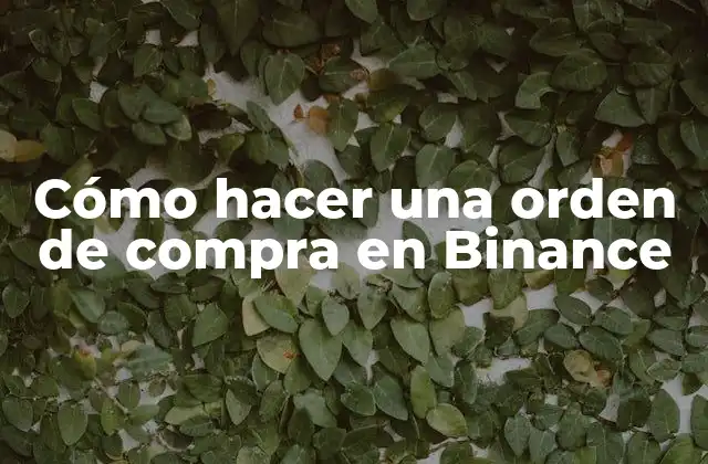 Cómo Hacer una Orden de Compra en Binance