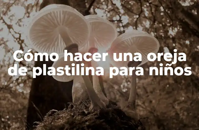 Cómo Hacer una Oreja de Plastilina para Niños
