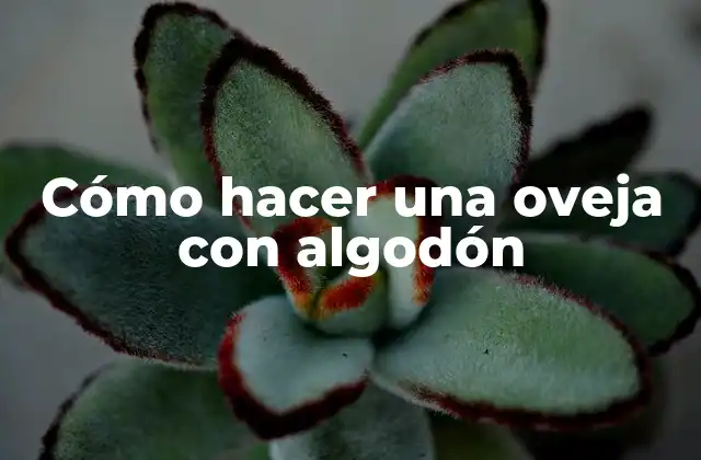 Cómo Hacer una Oveja con Algodón