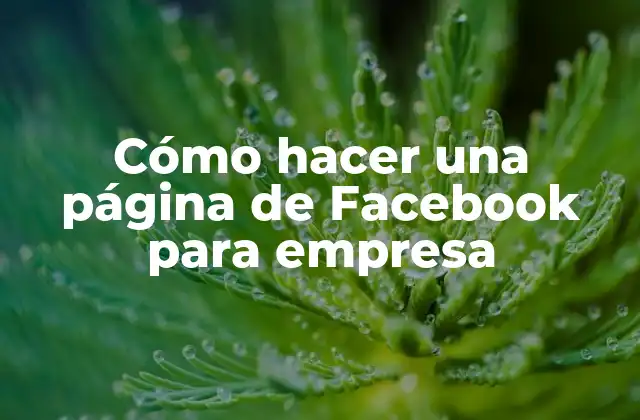 Cómo Hacer una Página de Facebook para Empresa