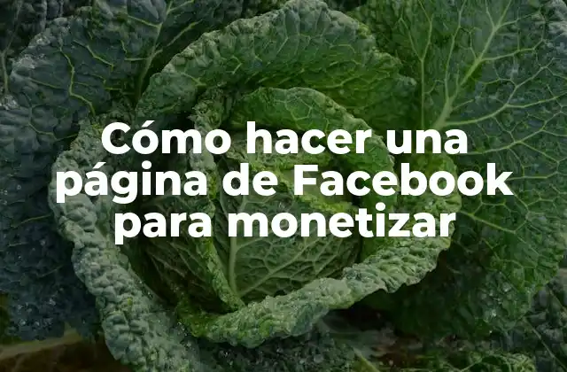 Cómo Hacer una Página de Facebook para Monetizar