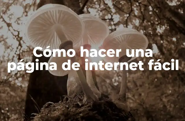 Cómo Hacer una Página de Internet Fácil