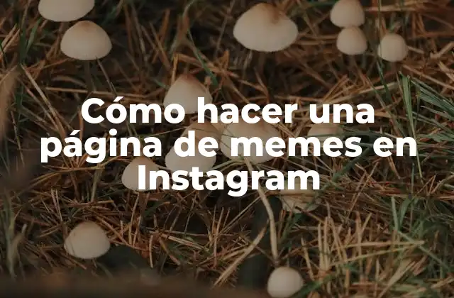 Cómo Hacer una Página de Memes en Instagram