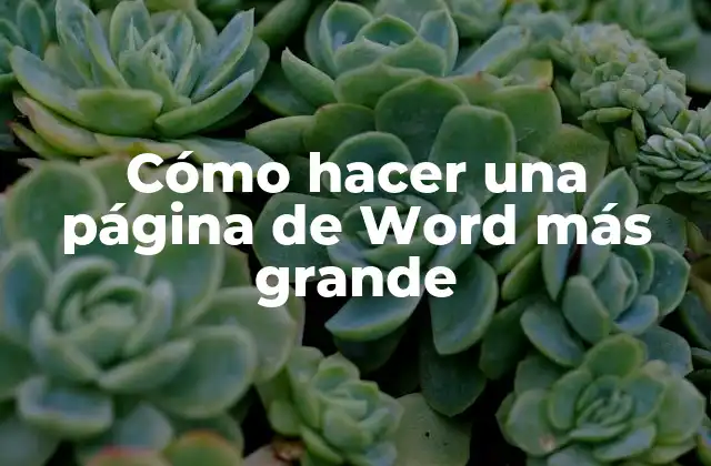 Cómo Hacer una Página de Word Más Grande