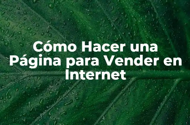 Cómo Hacer una Página para Vender en Internet