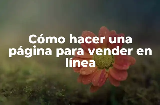 Cómo Hacer una Página para Vender en Línea